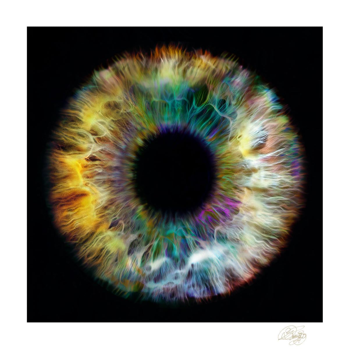 THE VISIONARY - Fine Art Print